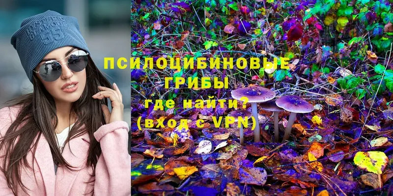 Галлюциногенные грибы Magic Shrooms  мориарти клад  Красноярск 